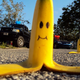 Image for article titled Shooting Challenge: Focus Stacking Gallery